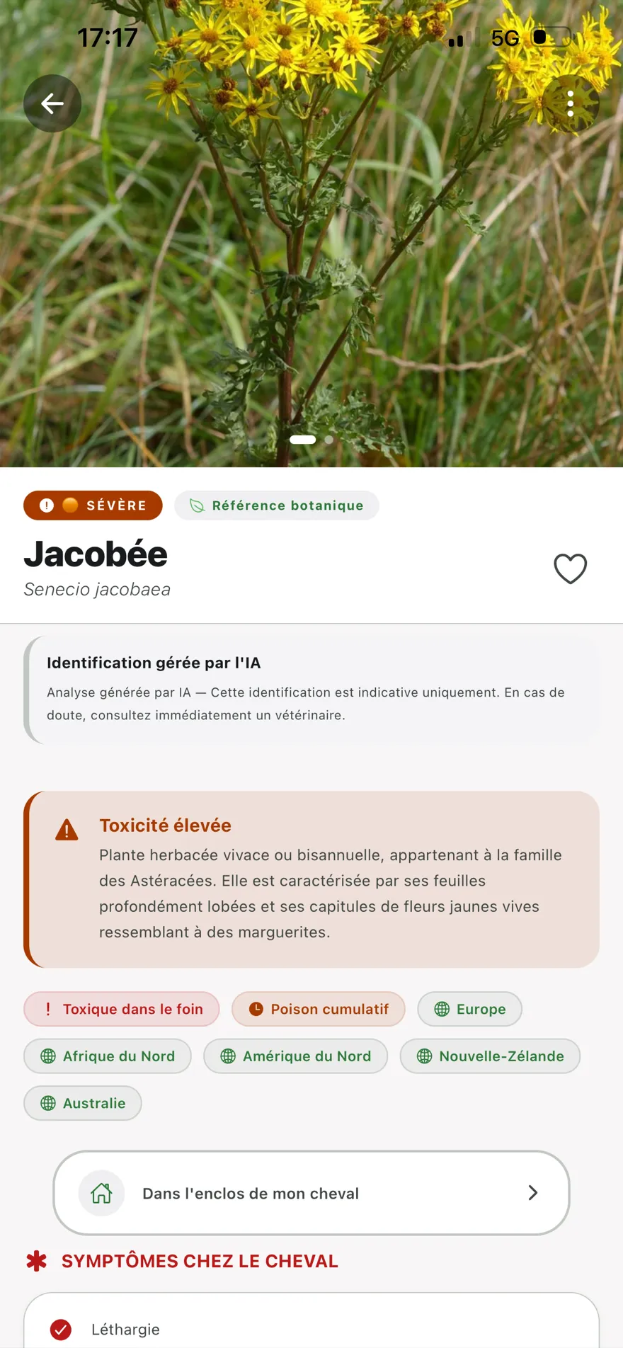 Identification d'une plante toxique