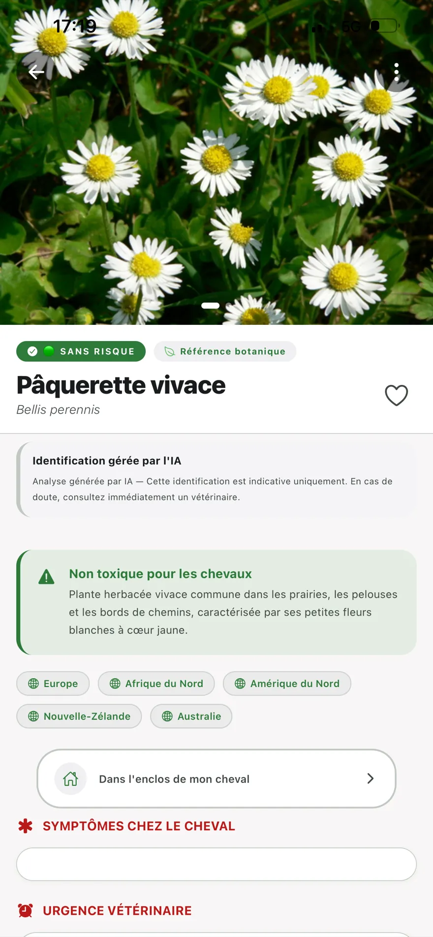 Plante sans risque identifiée par l'IA