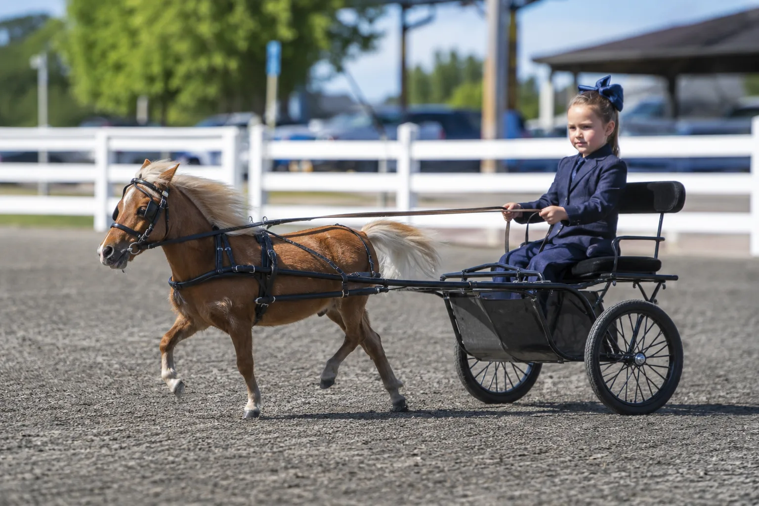 Cheval Adaev au galop dans la steppe, mouvement dynamique et puissant