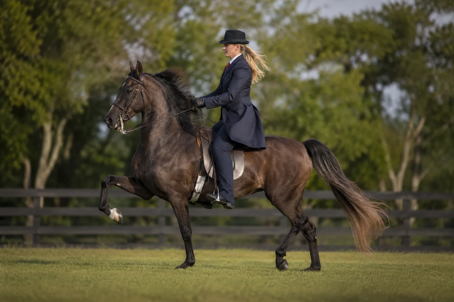 Cheval Andravida alezan au galop avec un cavalier, montrant ses allures souples et énergiques.