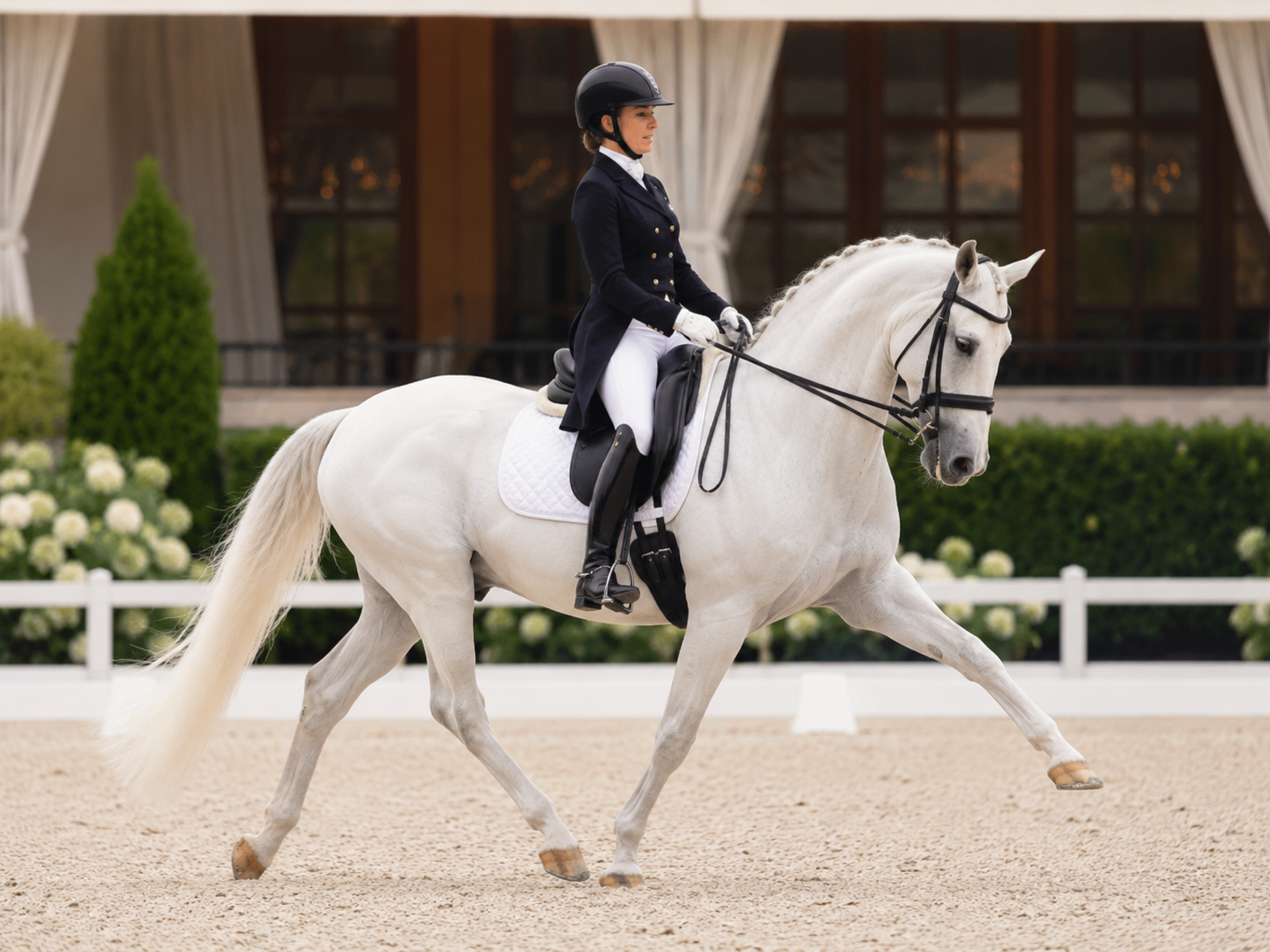 Kafa : identification de race équine, robe du cheval, morphologie et notation de l'état corporel. Gestion complète du profil et de l'identité du cheval.