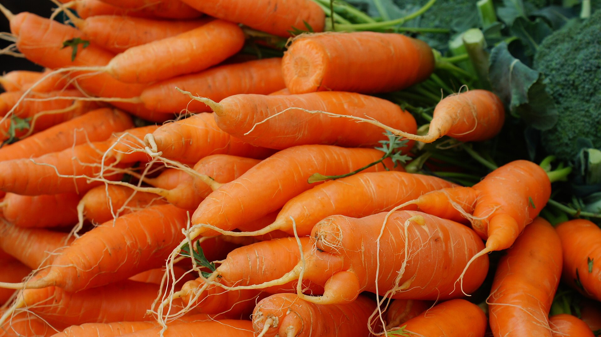 Alimentation